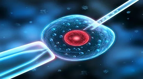 生物制药翻译的特点是怎样的？